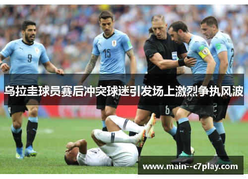 乌拉圭球员赛后冲突球迷引发场上激烈争执风波