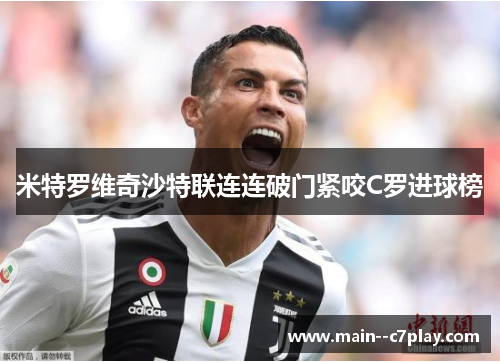 米特罗维奇沙特联连连破门紧咬C罗进球榜 米特罗维奇沙特联连连破门紧咬C罗进球榜