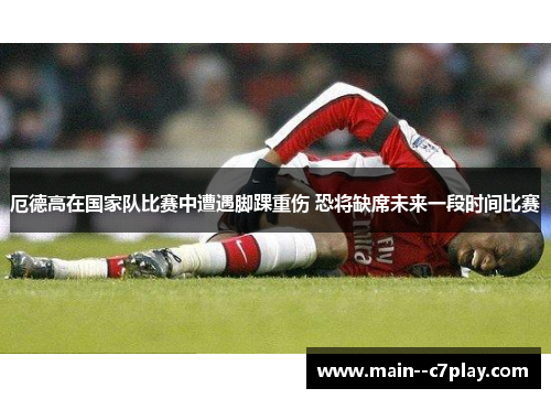 厄德高在国家队比赛中遭遇脚踝重伤 恐将缺席未来一段时间比赛 厄德高在国家队比赛中遭遇脚踝重伤 恐将缺席未来一段时间比赛