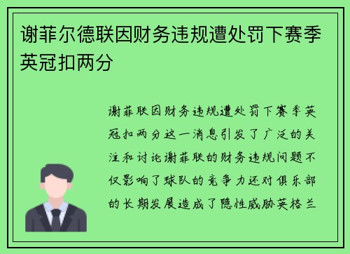 谢菲尔德联因财务违规遭处罚下赛季英冠扣两分
